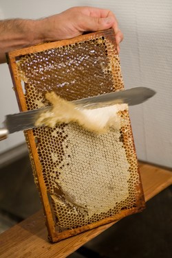 Cire d'opercule